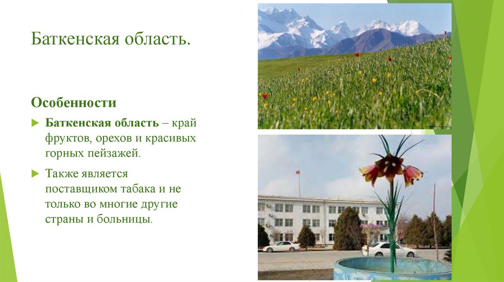 Баткенская область.