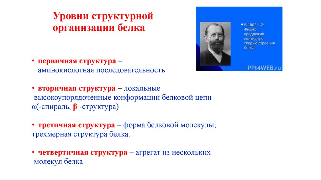 Уровни структурной организации белка