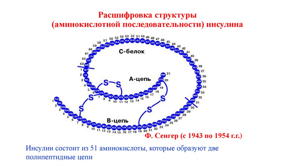 Расшифровка структуры (аминокислотной последовательности) инсулина