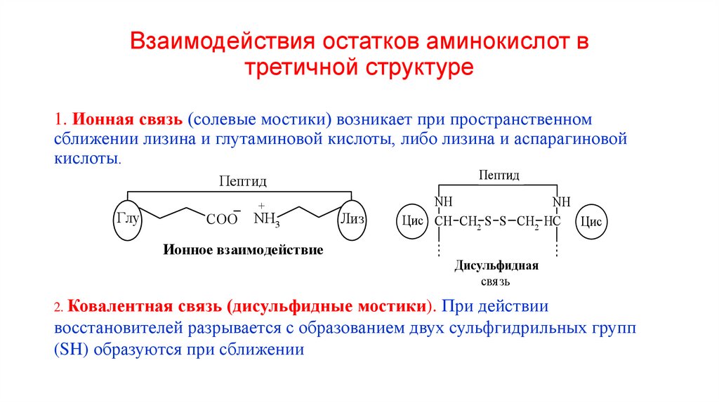 Взаимодействия остатков аминокислот в третичной структуре