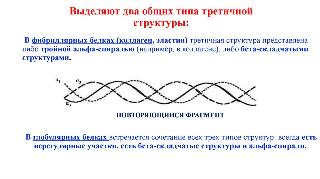 Выделяют два общих типа третичной структуры: