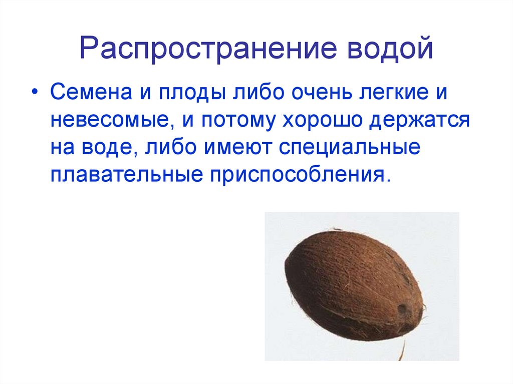 Распространение водой