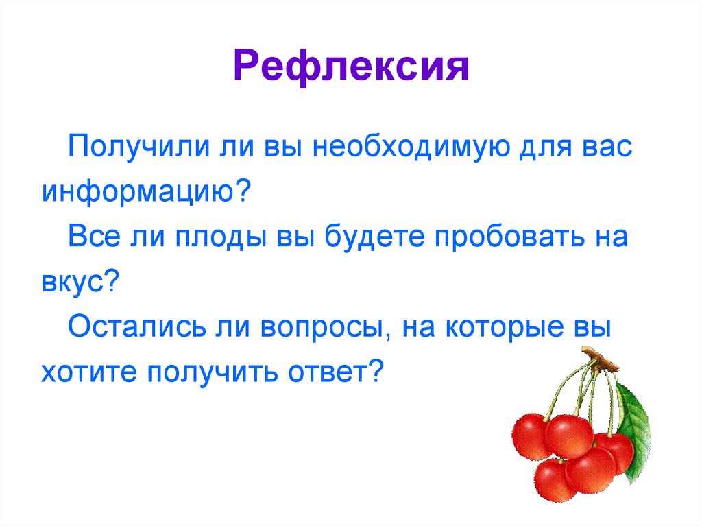 Рефлексия