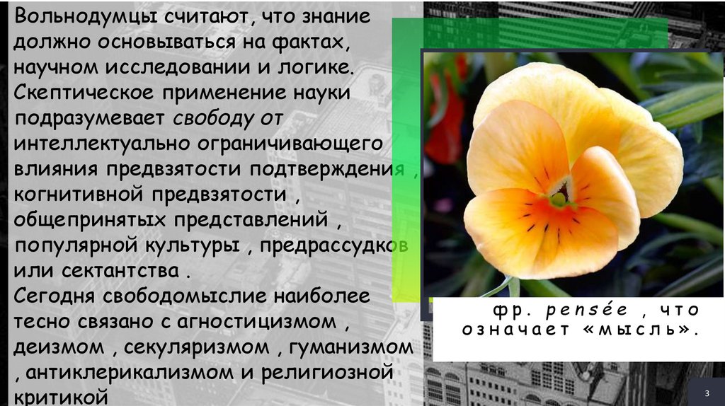 Презентации Заголовок