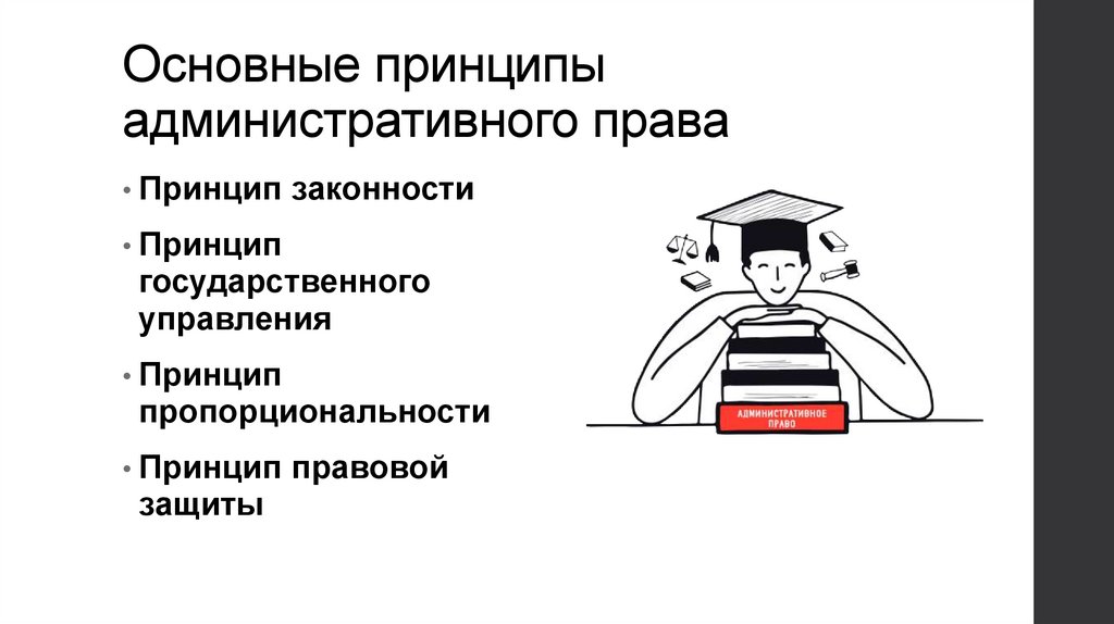 Основные принципы административного права