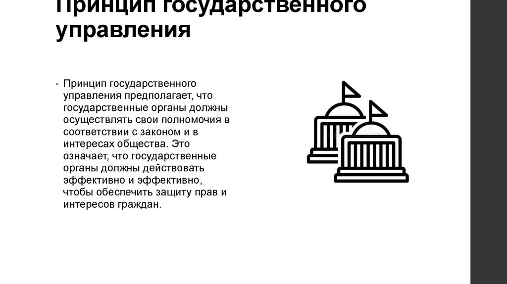 Принцип государственного управления