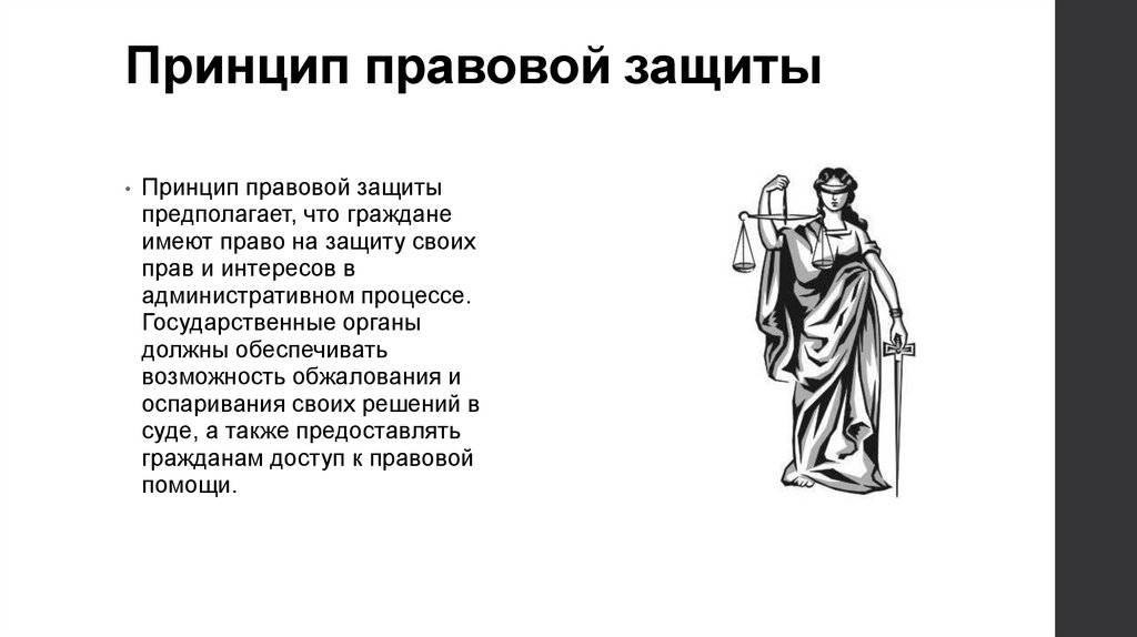 Принцип правовой защиты