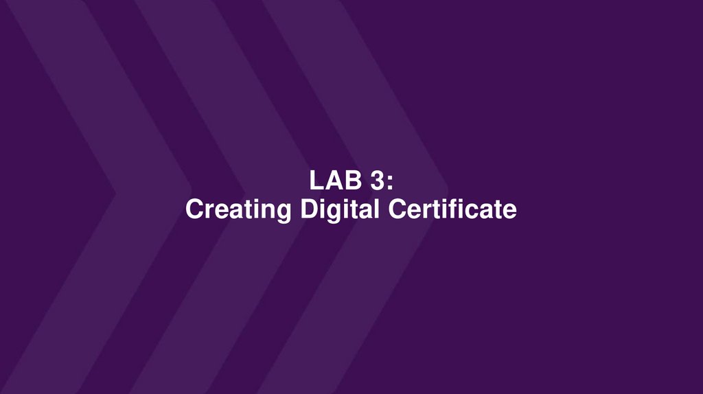 Is Alice talking to Bob or an imposter?