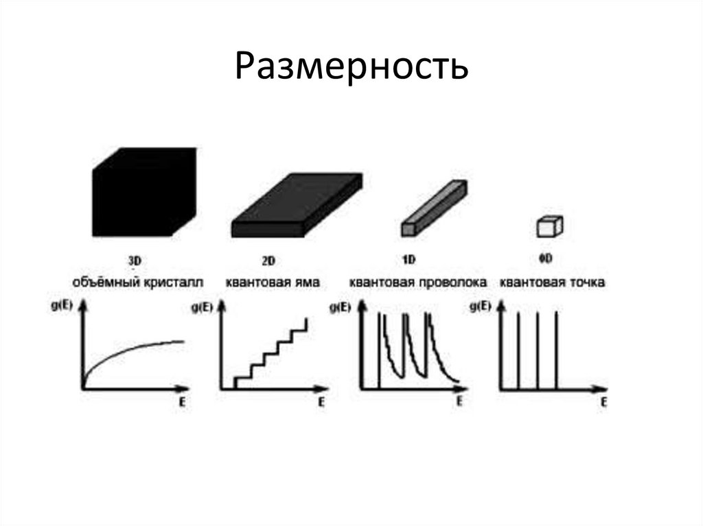 Размерность