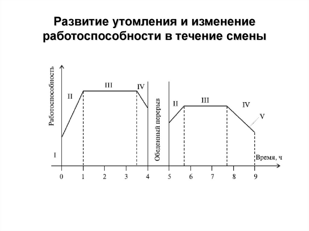 Развитие утомления и изменение работоспособности в течение смены