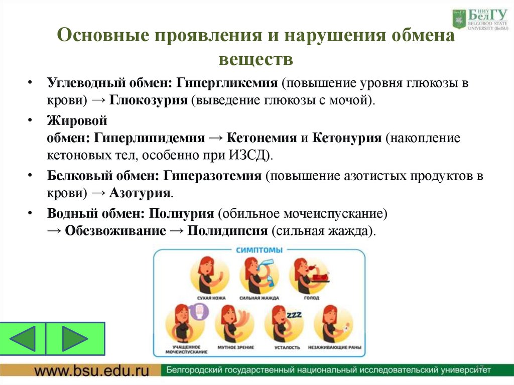 Основные проявления и нарушения обмена веществ