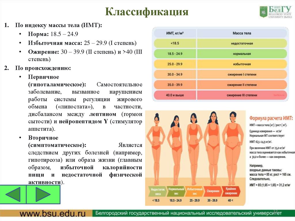 Классификация