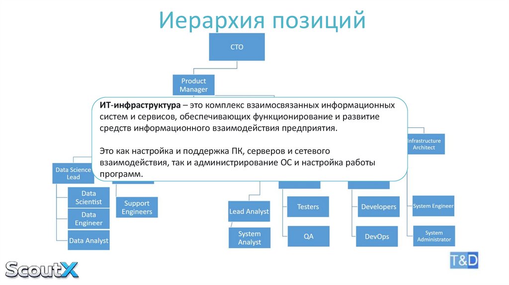 Иерархия позиций
