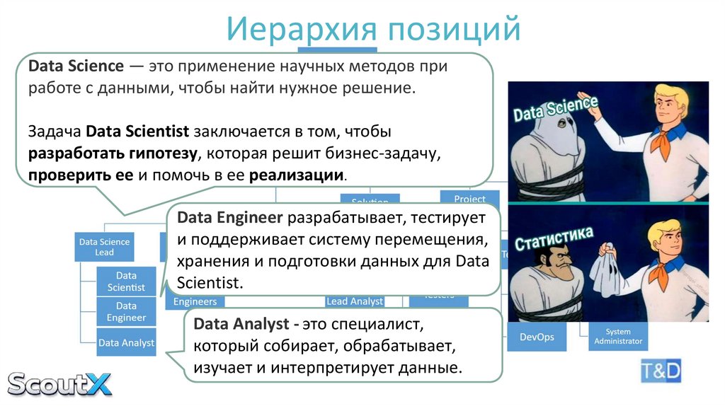Иерархия позиций