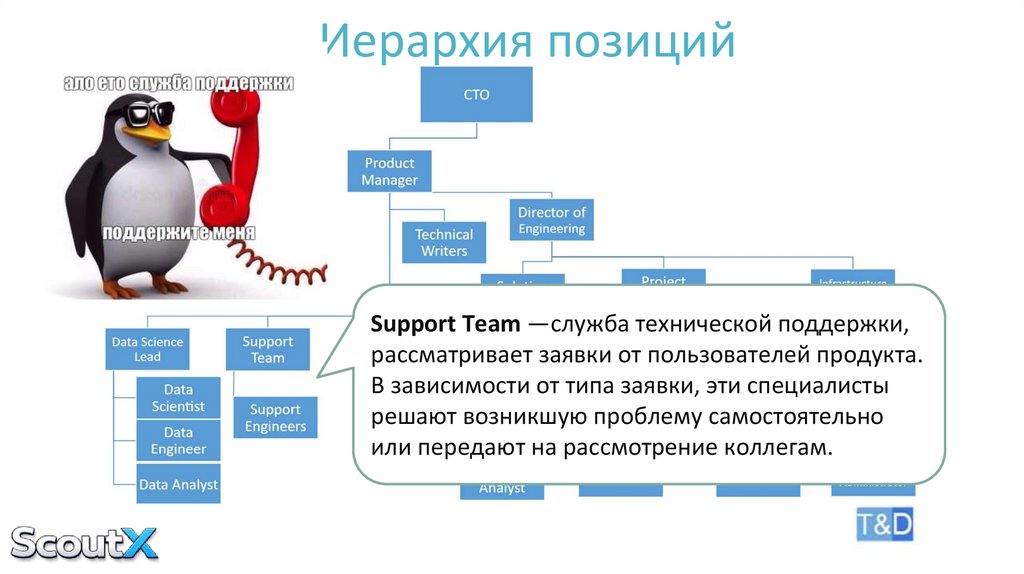 Иерархия позиций
