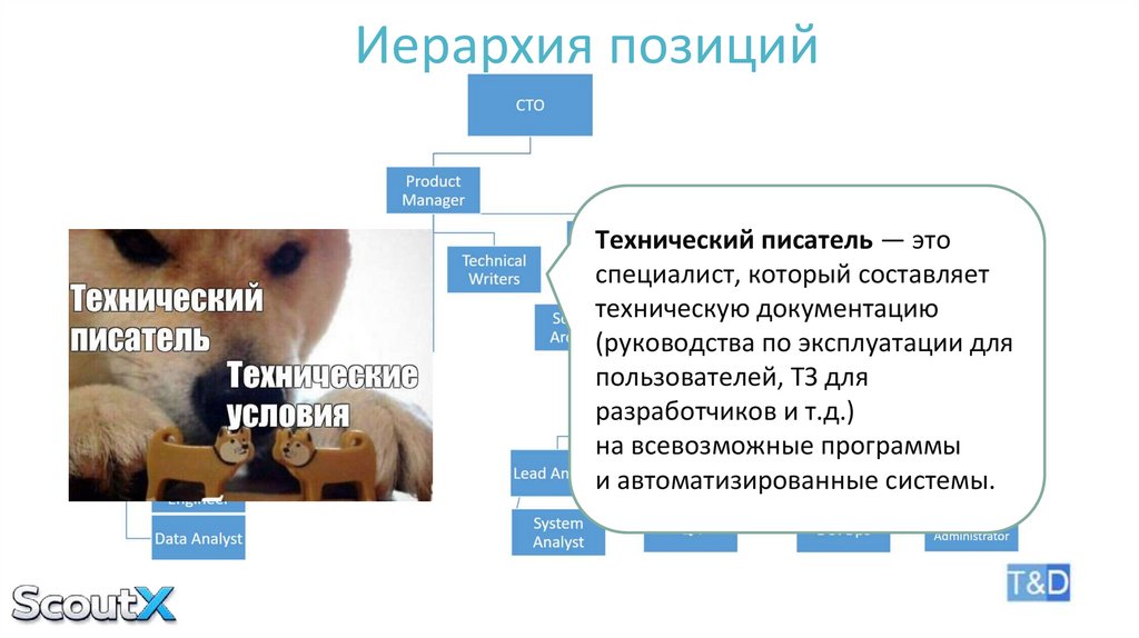 Иерархия позиций