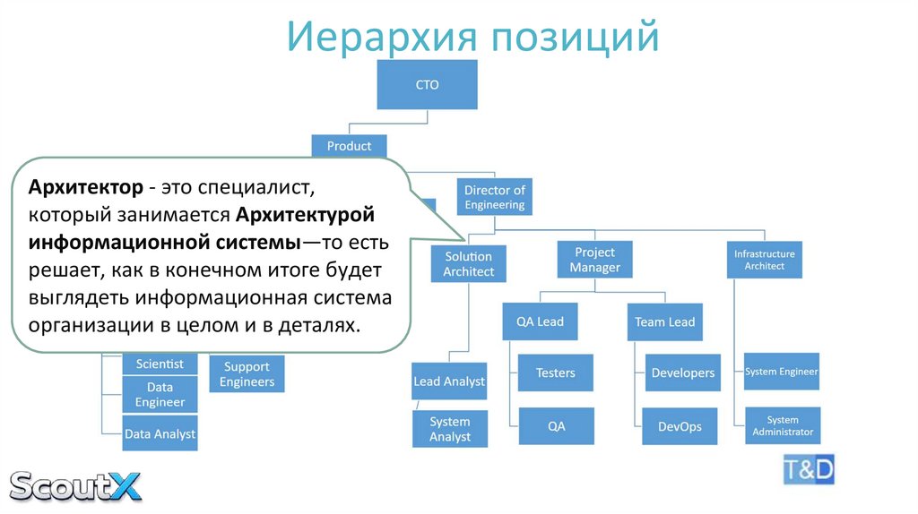 Иерархия позиций