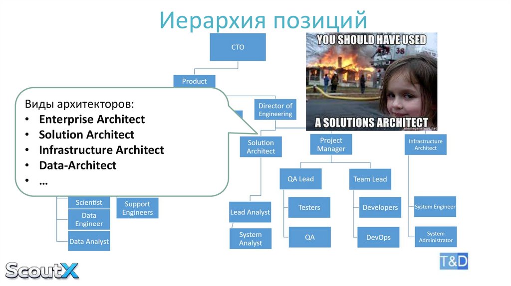 Иерархия позиций