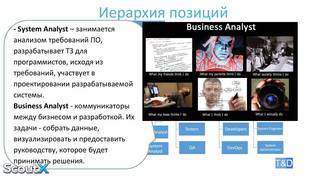 Иерархия позиций