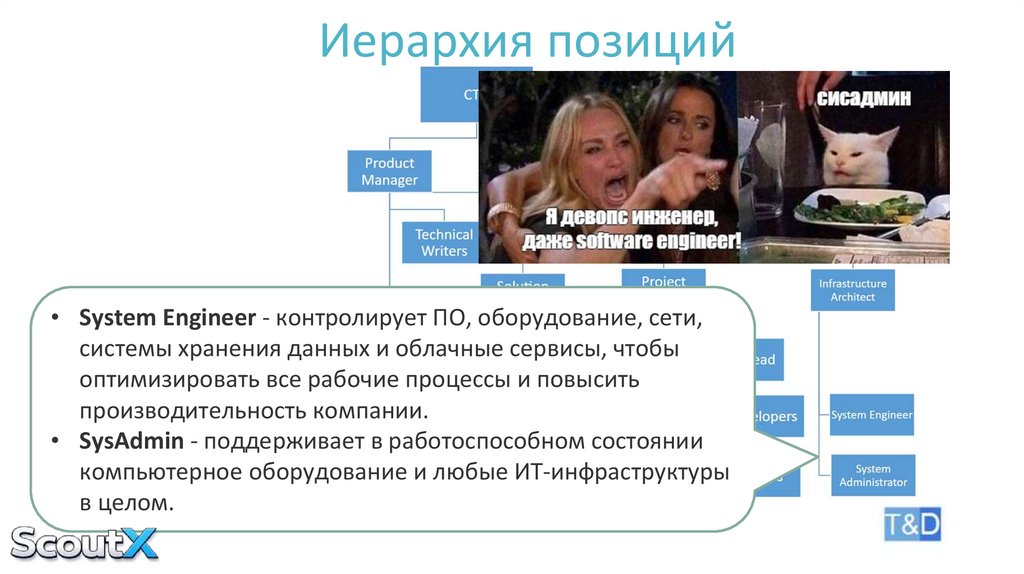 Иерархия позиций