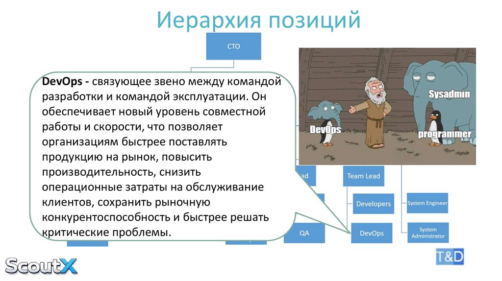 Иерархия позиций