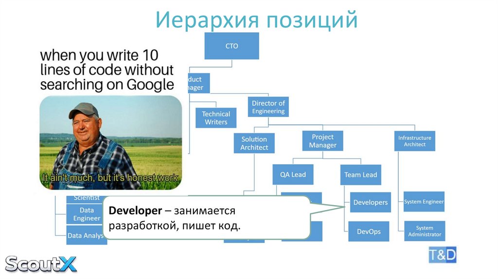 Иерархия позиций