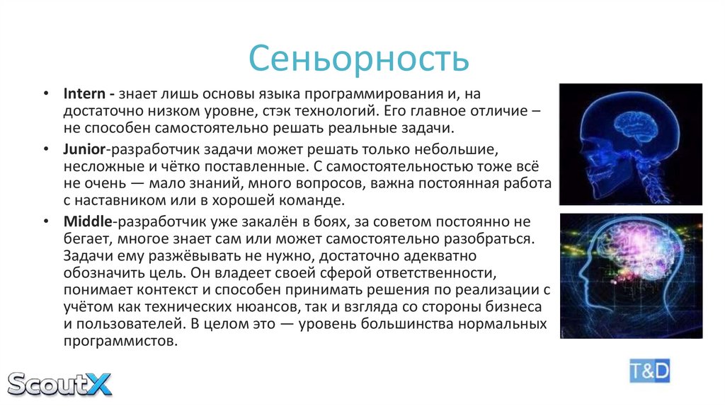 Сеньорность