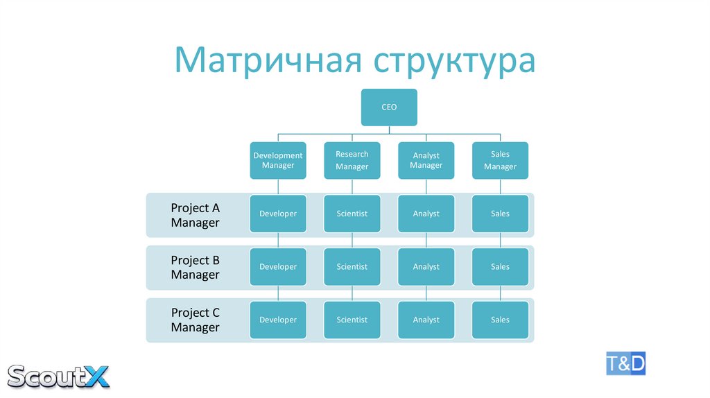 Матричная структура