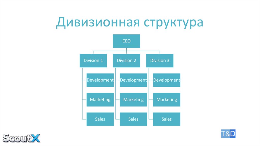 Дивизионная структура