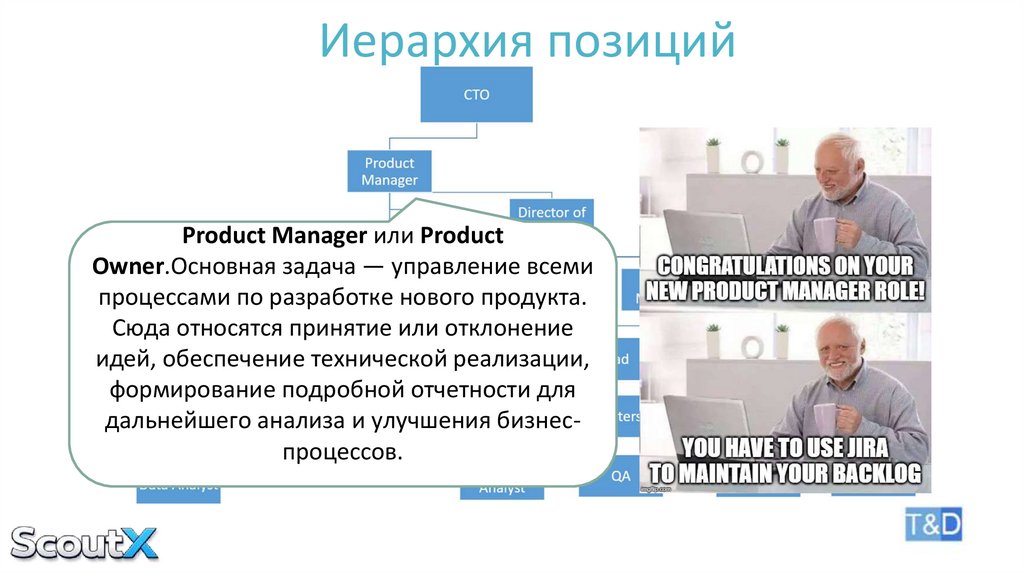 Иерархия позиций