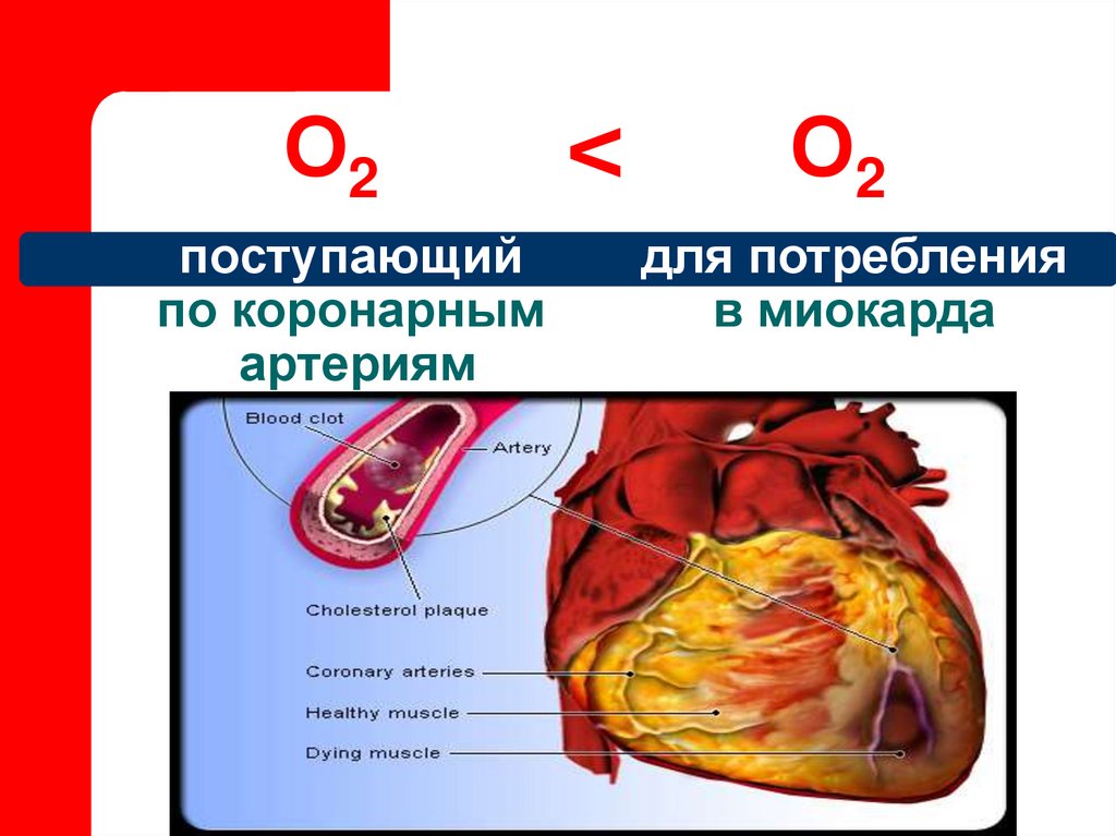 поступающий по коронарным артериям