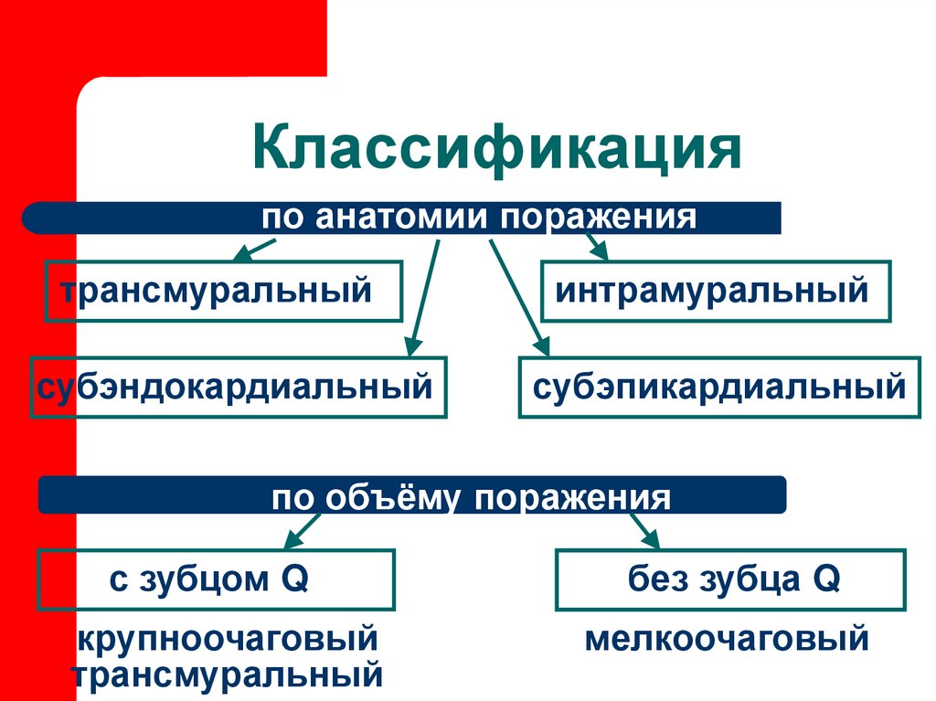 Классификация