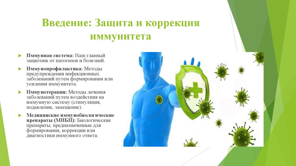 Введение: Защита и коррекция иммунитета