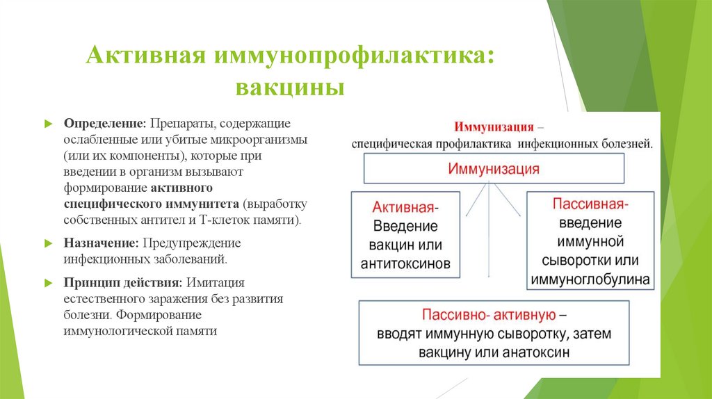 Активная иммунопрофилактика: вакцины