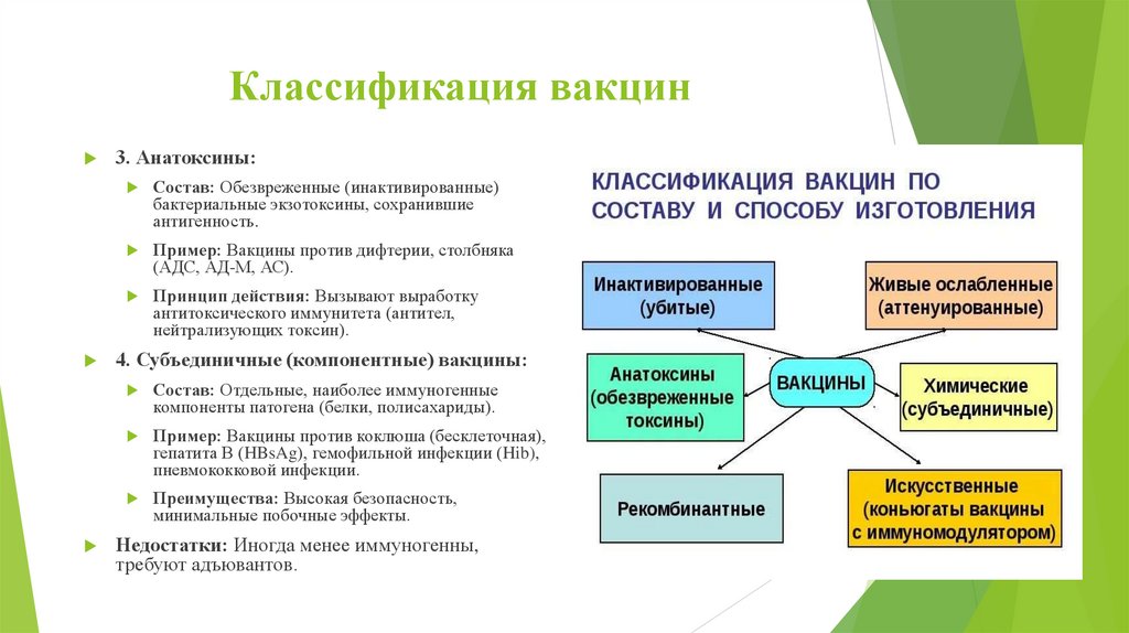 Классификация вакцин
