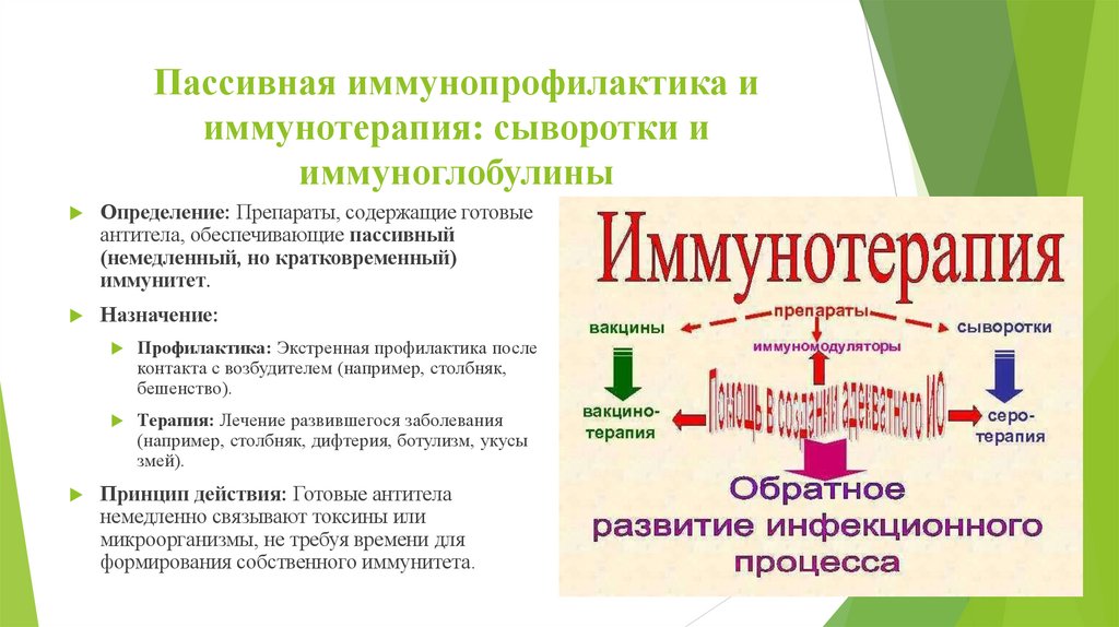 Пассивная иммунопрофилактика и иммунотерапия: сыворотки и иммуноглобулины