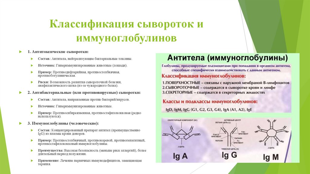 Классификация сывороток и иммуноглобулинов
