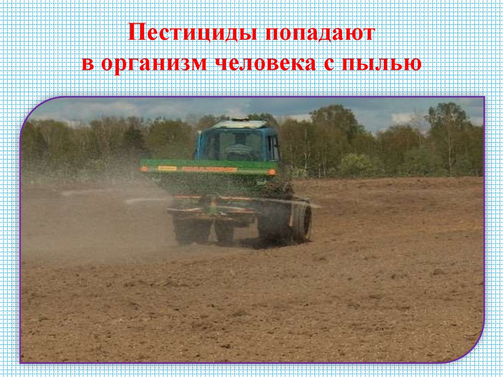 Пестициды попадают в организм человека с пылью