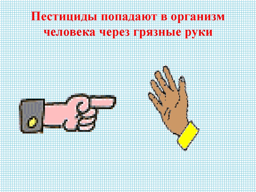 Пестициды попадают в организм человека через грязные руки