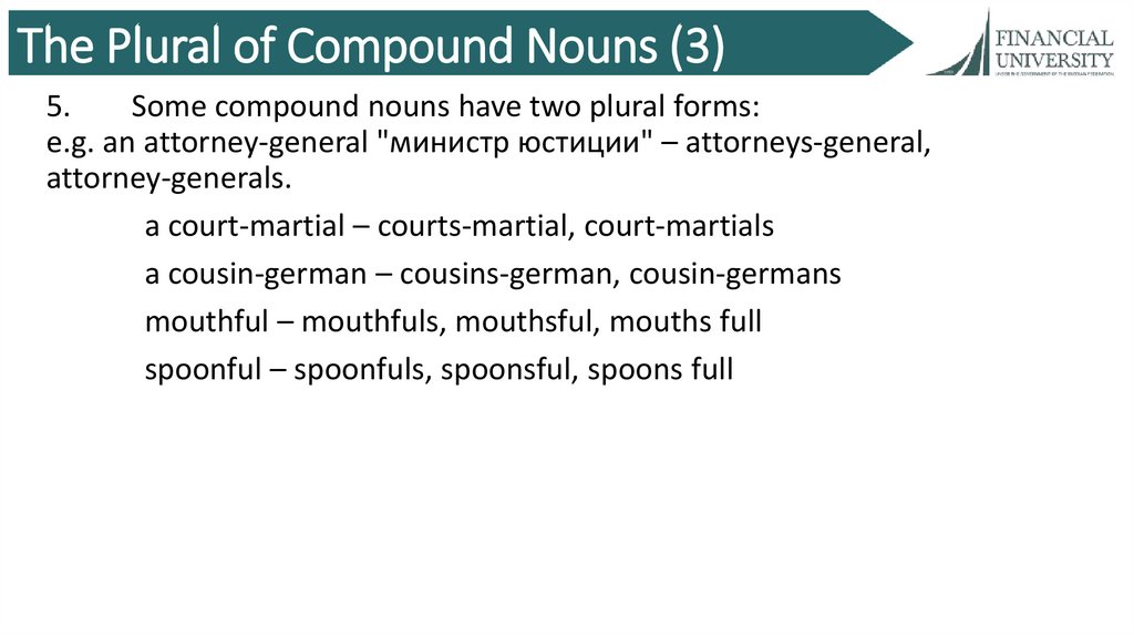 The Plural of Compound Nouns (3)