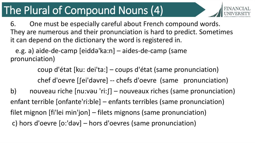 The Plural of Compound Nouns (4)
