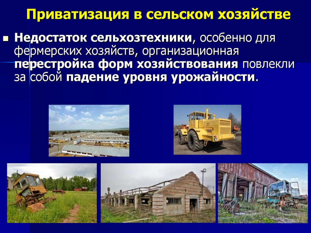 Приватизация в сельском хозяйстве