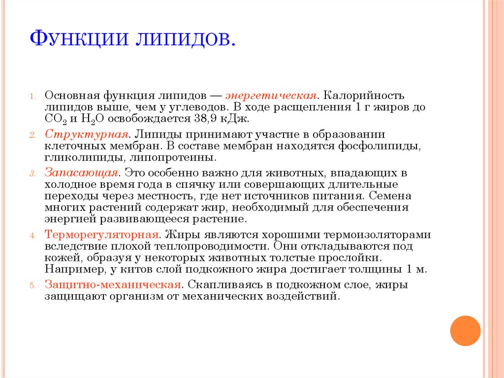 Функции липидов.