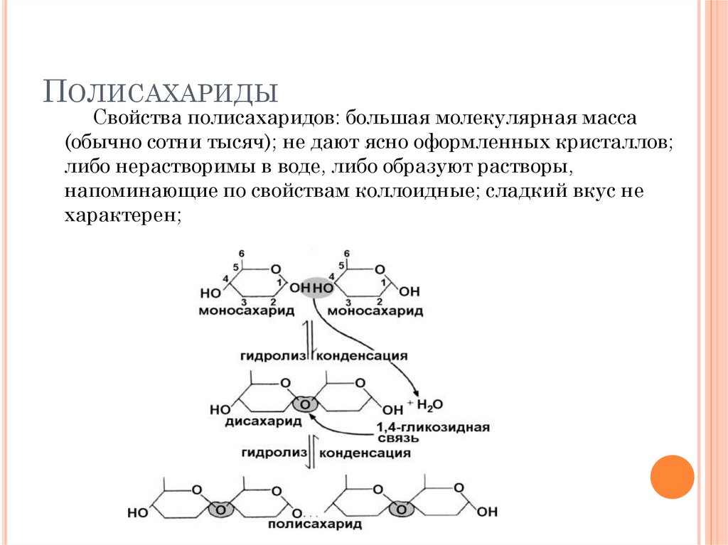 Полисахариды