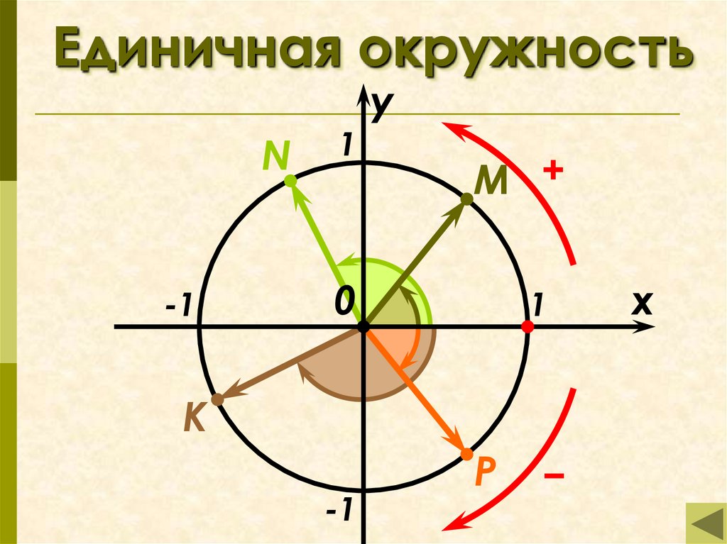 Единичная окружность