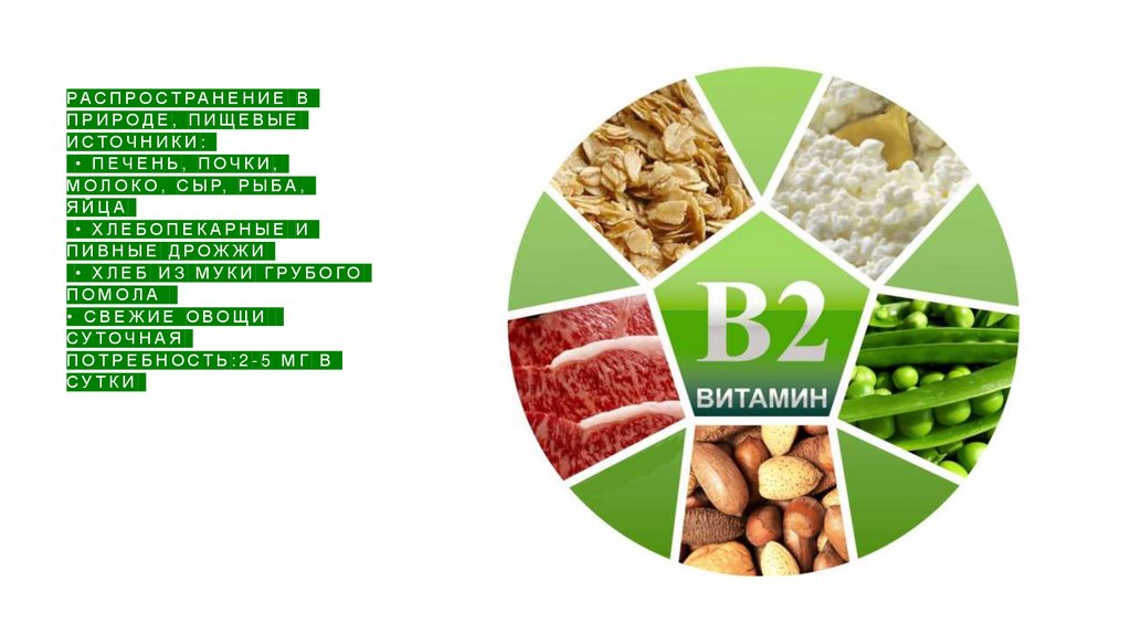 Распространение в природе, пищевые источники: • Печень, почки, молоко, сыр, рыба, яйца • Хлебопекарные и пивные дрожжи • Хлеб