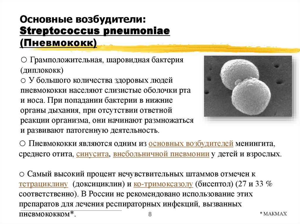 Основные возбудители: Streptococcus pneumoniae (Пневмококк)