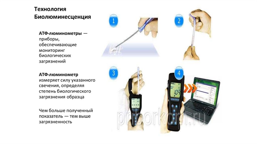 Технология Биолюминесценция