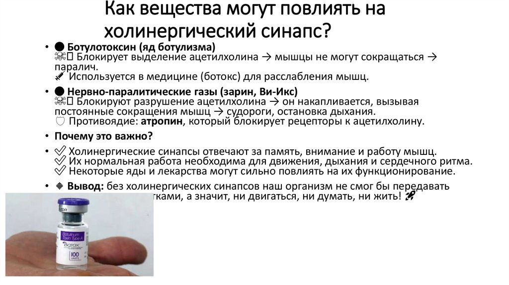 Как вещества могут повлиять на холинергический синапс?