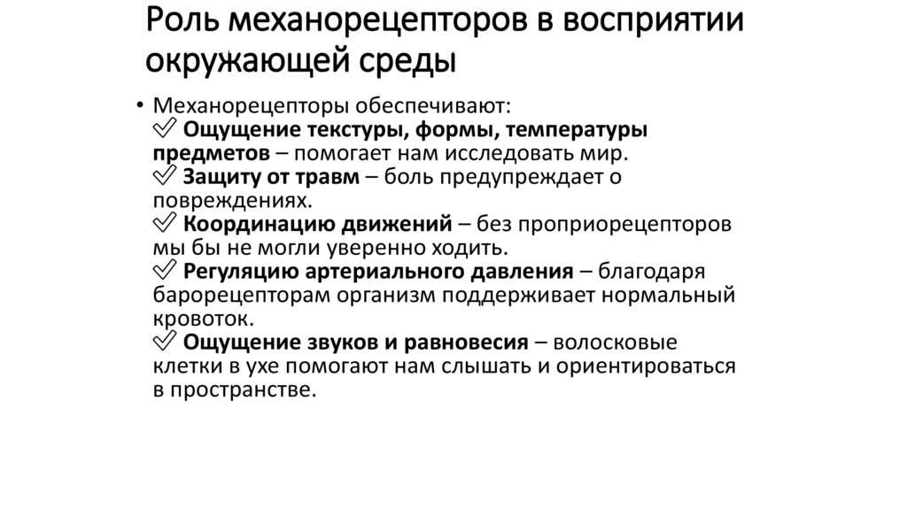 Роль механорецепторов в восприятии окружающей среды